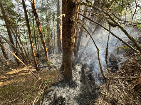 Lookout Fire 2023 smoldering in the forest