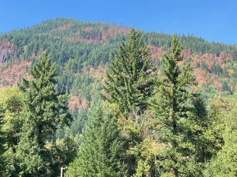 Lookout Fire 2023