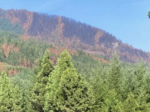 Lookout Fire 2023