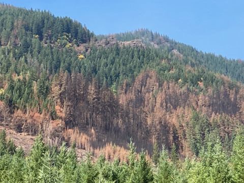 Lookout Fire 2023