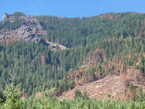 Lookout Fire 2023