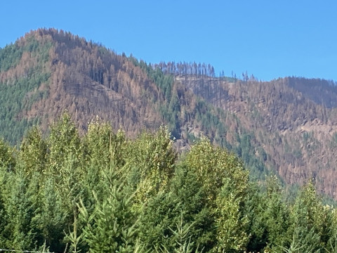 Lookout Fire 2023