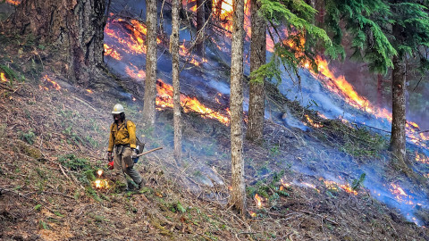 Lookout Fire 2023