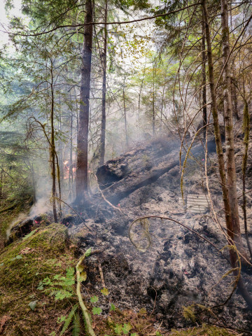 Lookout Fire 2023