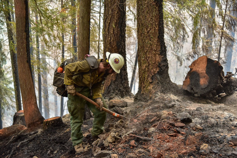 Lookout Fire 2023