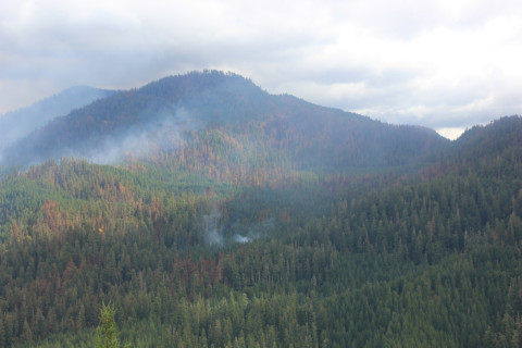 Lookout Fire 2023