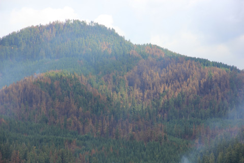 Photo from top of rock outcrop/quarry on road 130