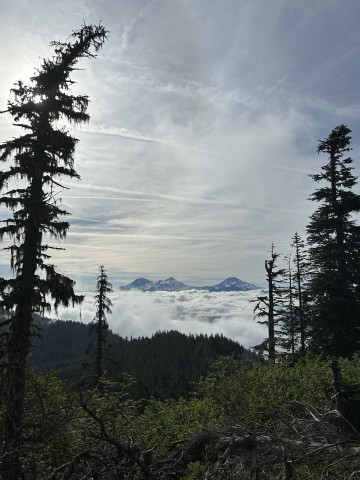 Three Sisters above the clouds