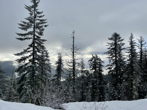Early spring snow