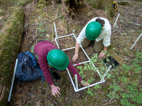 Moss Reciprocal Transplant 2023