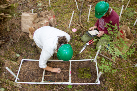 Moss Reciprocal Transplant 2023