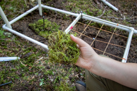 Moss Reciprocal Transplant 2023