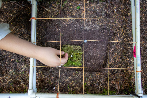 Moss Reciprocal Transplant 2023
