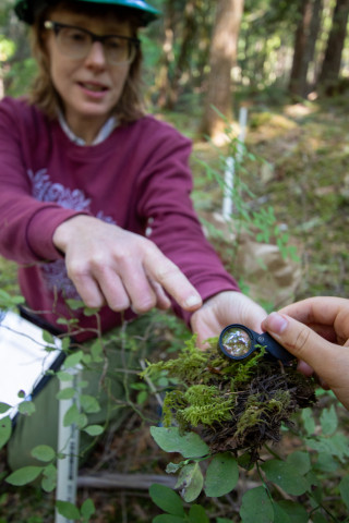 Moss Reciprocal Transplant 2023