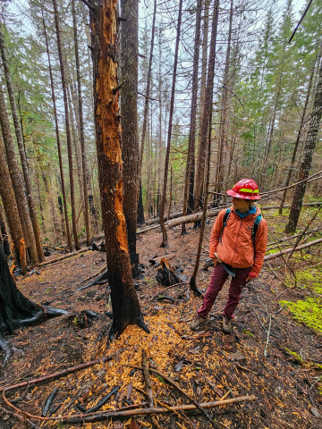 Pyrogenic Carbon Sampling Spring 2024