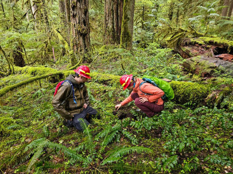 Pyrogenic Carbon Sampling Spring 2024