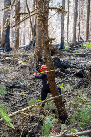 Pyrogenic Carbon Sampling Spring 2024
