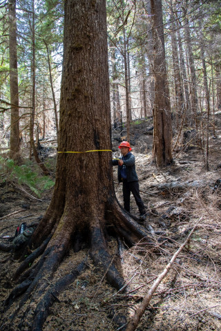 Pyrogenic Carbon Sampling Spring 2024