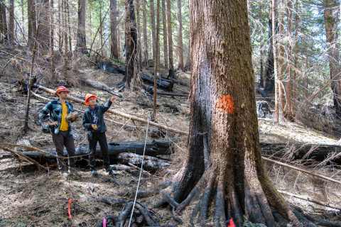 Pyrogenic Carbon Sampling Spring 2024