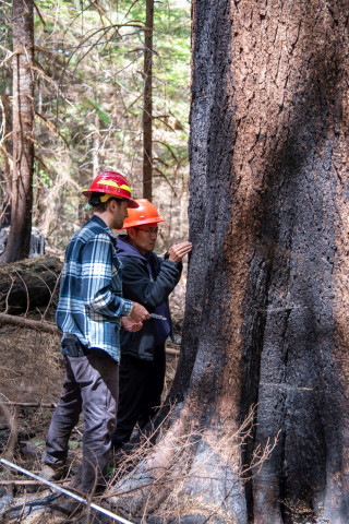 Pyrogenic Carbon Sampling Spring 2024