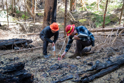 Pyrogenic Carbon Sampling Spring 2024