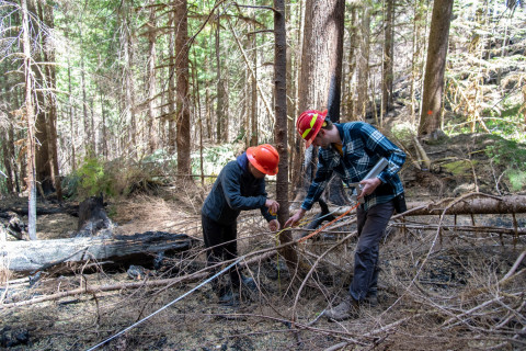 Pyrogenic Carbon Sampling Spring 2024