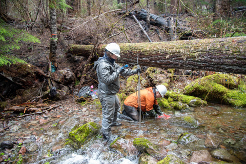 Stream Ecology Spring 2024