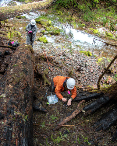 Stream Ecology Spring 2024
