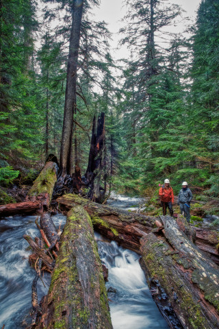 Stream Ecology Spring 2024