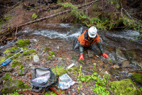 Stream Ecology Spring 2024