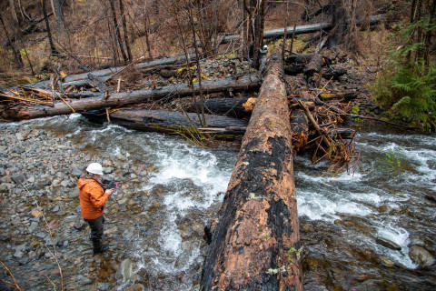Stream Ecology Spring 2024