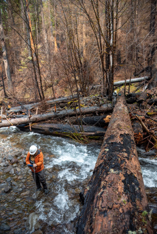 Stream Ecology Spring 2024