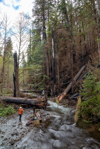 Stream Ecology Spring 2024