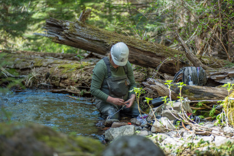 Stream Ecology Spring 2024