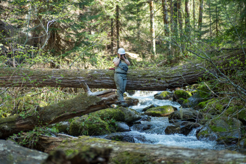 Stream Ecology Spring 2024