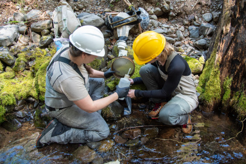 Stream Ecology Spring 2024