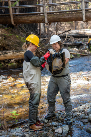 Stream Ecology Spring 2024