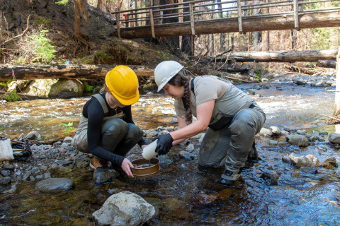 Stream Ecology Spring 2024