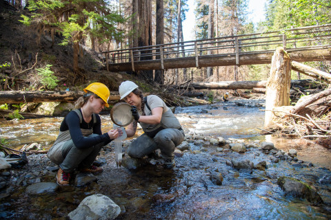 Stream Ecology Spring 2024
