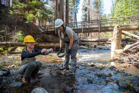 Stream Ecology Spring 2024