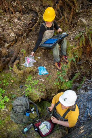 Stream Ecology Spring 2024
