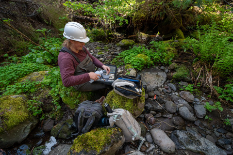 Stream Ecology Spring 2024