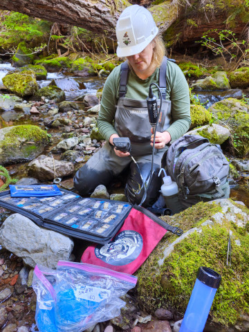 Stream Ecology Spring 2024
