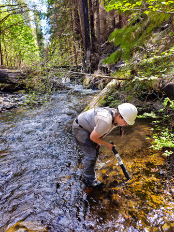 Stream Ecology Spring 2024