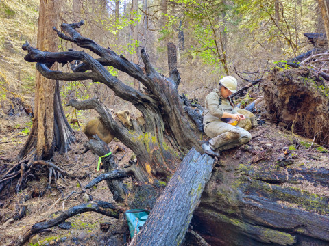Stream Ecology Spring 2024