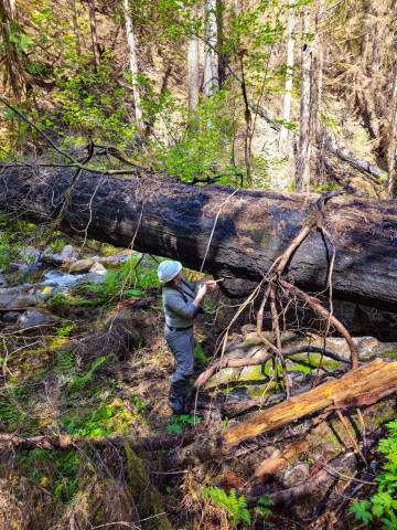 Stream Ecology Spring 2024