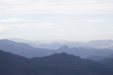 Andrews Landscape