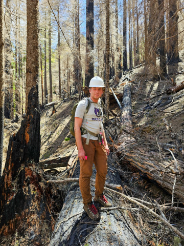 Mack Creek burn