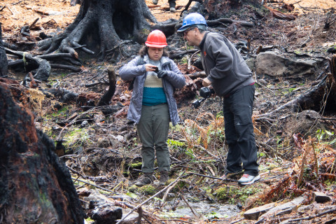 Nov 2023 field trip to HJA after Lookout Fire