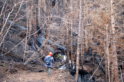 Nov 2023 field trip to HJA after Lookout Fire